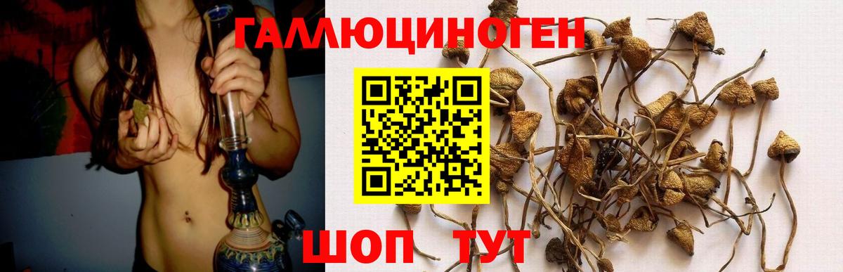 Галлюциногенные грибы мицелий Ханты-Мансийск